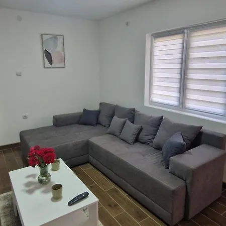 Bambi 2 سوكو بانيا