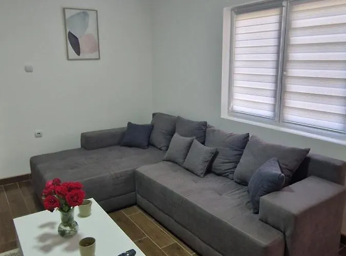 Bambi 2 소코 반자